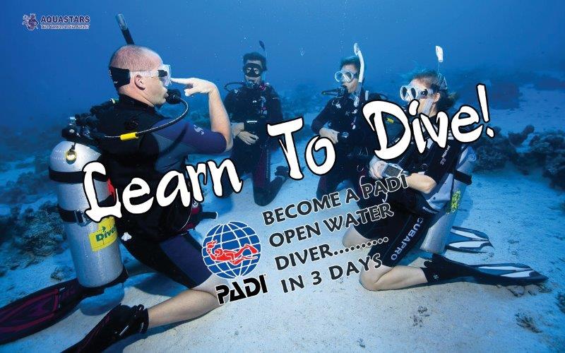 PADI Open Water Course ( Open water diver )