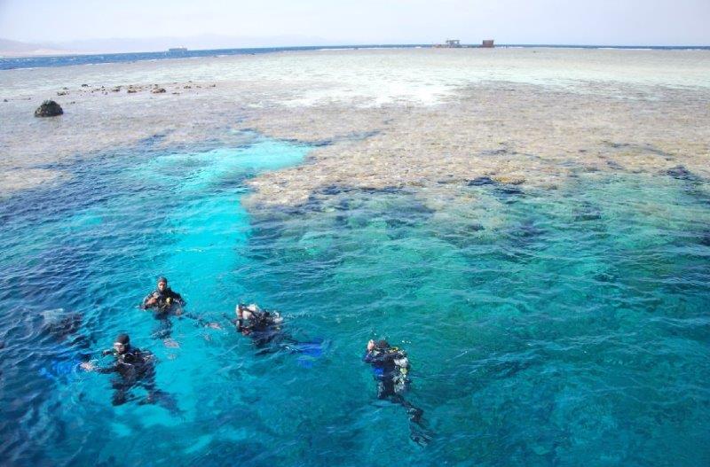 Snorkeling in Ras Mohamed by Bus